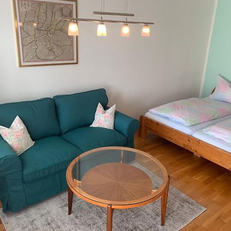 Haemmerle Fewo Holiday Apartment - Green كونستانز المظهر الخارجي الصورة