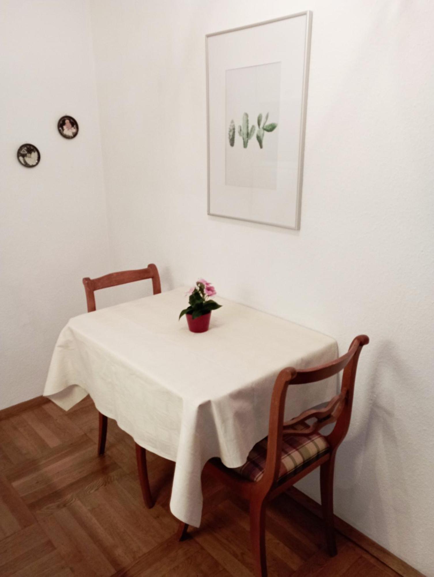 Haemmerle Fewo Holiday Apartment - Green كونستانز المظهر الخارجي الصورة